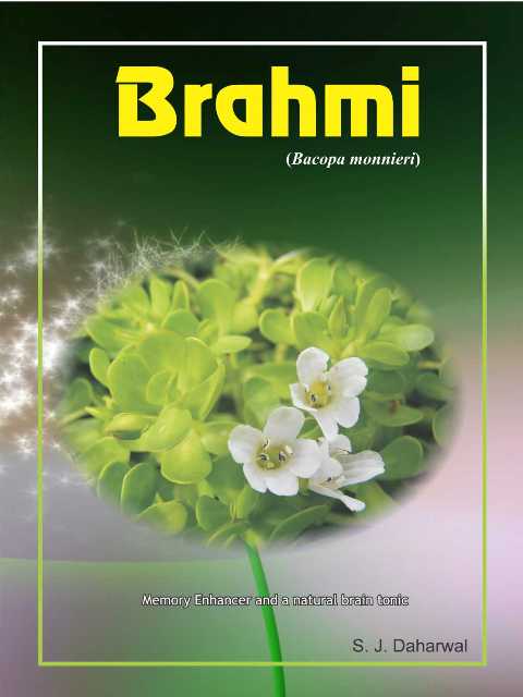 Brahmi (Bacopa monnieri)